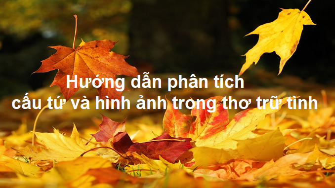 huong-dan-phan-tich-cau-tu-va-hinh-anh-trong-tho-tru-tinh