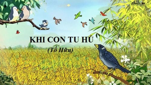 khi-con-tu-hu-to-huu