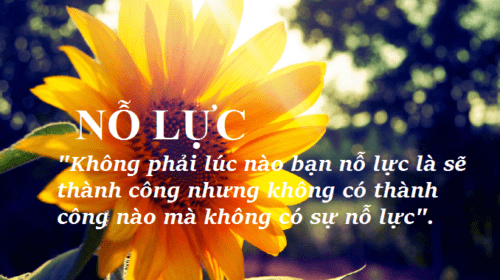 khong-co-thanh-cong-nao-ma-khong-co-su-no-luc