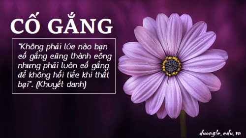 khong-phai-luc-nao-ban-co-gang-cung-thanh-cong-nhung-phai-luon-co-gang-de-khong-hoi-tiec-khi-that-bai