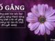 khong-phai-luc-nao-ban-co-gang-cung-thanh-cong-nhung-phai-luon-co-gang-de-khong-hoi-tiec-khi-that-bai