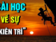 kien-tri-nha-bao-tro-vi-dai-cua-moi-thanh-cong