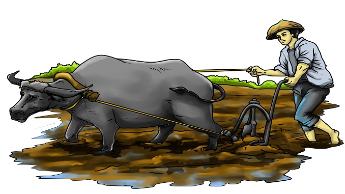 LÃO NÔNG VÀ CÁC CON (Truyện ngụ ngôn) 5 LÃO NÔNG VÀ CÁC CON (Truyện ngụ ngôn)