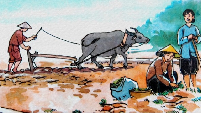 Kể chuyện sáng tạo: LÃO NÔNG VÀ CÁC CON | Lớp 9 3 lao-nong-va-cac-con