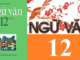 luyen-tap-ve-cach-dung-mot-so-quan-he-tu-sgk-ngu-van-12-tap-2