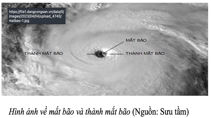 Đọc hiểu văn bản thông tin BÃO VÀ MỘT SỐ HIỂU BIẾT VỀ BÃO | Lớp 8 3 mat bao