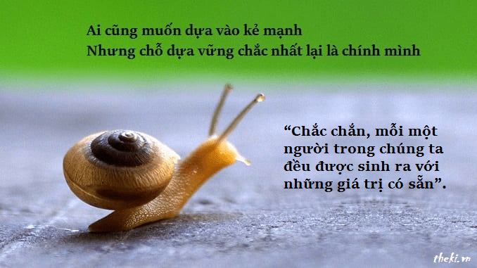 nghi-luan-chac-chan-moi-mot-nguoi-trong-chung-ta-deu-duoc-sinh-ra-voi-nhung-gia-tri-co-san