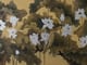 nghi-luan-neu-duoc-dung-den-chu-hoa-cong-thi-co-the-goi-nguoi-viet-tieu-thuyet-la-mot-hoa-cong-nho-viet-tieu-thuyet-la-sang-tao-ra-mot-the-gioi