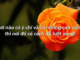 nghi-luan-noi-nao-co-y-chi-va-co-nhung-con-song-thi-noi-do-co-cach-de-luot-song-nick-vujicic