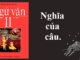 nghia-cua-cau