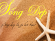 ngu-lieu-song-dep