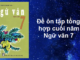 on-tap-tong-hop-cuoi-nam-lop-7-15233-2