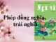 phep-dong-nghia-trai-nghia-lien-ket-cau-va-lien-ket-doan-van