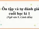 soan bai on tap va tu danh gia cuoi hoc ki 1 ngu van 9 canh dieu