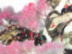 soan-bai-cung-co-mo-rong-bai-4-ngu-van-9-ket-noi-tri-thuc