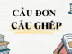 soan-bai-thuc-hanh-tieng-viet-cau-don-cau-ghep-ngu-van-9-canh-dieu
