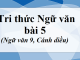 soan-bai-tri-thuc-ngu-van-bai-5-ngu-van-9-canh-dieu