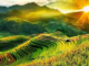 soan-bai-trinh-bay-y-kien-ve-mot-su-viec-co-tinh-thoi-su-con-nguoi-trong-moi-quan-he-voi-tu-nhien-ngu-van-9-ket-noi-tri-thuc