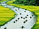 soan-bai-viet-doan-van-ghi-lai-cam-nghi-ve-mot-bai-tho-tam-chu-ngu-van-9-chan-troi-sang-tao