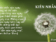 su-kien-nhan-cua-ngay-hom-nay-co-the-bien-nhung-nan-long-cua-ngay-hom-qua-thanh-kham-pha-cua-ngay-mai