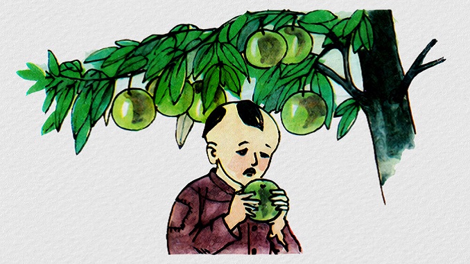 SỰ TÍCH CÂY VÚ SỮA | Truyện cổ tích 6 su-tich-cay-vu-sua