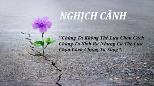 suy-nghi-ve-y-chi-va-nghi-luc-cua-nhung-con-nguoi-khong-chiu-thua-so-phan-trong-cuoc-song