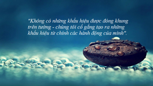 suy-nghi-ve-y-kien-khong-co-nhung-khau-hieu-duoc-dong-khung-tren-tuong-chung-toi-co-gang-tao-ra-nhung-khau-hieu-tu-chinh-cac-hanh-dong-cua-minh