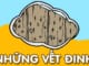 suy-nghi-ve-y-nghia-cau-chuyen-nhung-vet-dinh