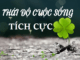thai-do-song-tich-cuc