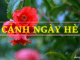 tam-trang-cua-nguyen-trai-duoc-the-hien-nhu-the-nao-qua-bai-tho-canh-ngay-he