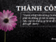 thanh-cong-cua-chung-ta-khong-phai-la-nhung-gi-ma-ta-dang-so-huu-ma-la-nhung-gi-ta-se-de-lai