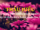 thay-vi-chi-biet-khien-trach-nguoi-khac-hay-co-thau-hieu-hoan-canh-cua-ho