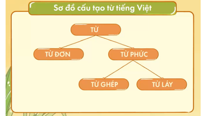 thuc-hanh-tieng-viet-bai-1-tu-don-tu-ghep-tu-lay-bai-1-ngu-van-6-tap-1-canh-dieu