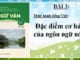 thuc-hanh-tieng-viet-bai-3-ngu-van-11-tap-1-chan-troi-sang-tao