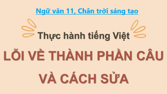 thuc-hanh-tieng-viet-bai-8-ngu-van-11-tap-2-chan-troi-sang-tao