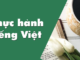 thuc-hanh-tieng-viet-bai-9-ngu-van-11-tap-2-chan-troi-sang-tao