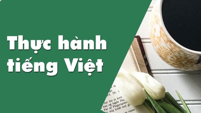 thuc-hanh-tieng-viet-bai-9-ngu-van-11-tap-2-chan-troi-sang-tao