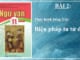 thuc-hanh-tieng-viet-bien-phap-tu-tu-doi-bai-2-ngu-van-11-tap-1-canh-dieu