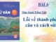 thuc-hanh-tieng-viet-loi-ve-thanh-phan-cau-va-cach-sua-bai-4-ngu-van-11-tap-1-ket-noi-tri-thuc