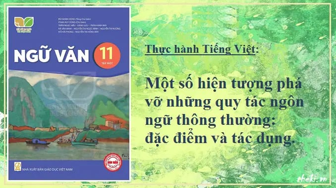 thuc-hanh-tieng-viet-mot-so-hien-tuong-pha-vo-nhung-quy-tac-ngon-ngu-thong-thuong-dac-diem-va-tac-dung-tiep-theo-bai-7-ngu-van-11-tap-2-ket-noi-tri-thuc