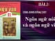 thuc-hanh-tieng-viet-ngon-ngu-noi-va-ngon-ngu-viet-ngu-van-11-tap-1-canh-dieu