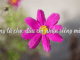 to-huu-song-la-cho-dau-chi-nhan-rieng-minh