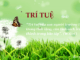 Trí tuệ của con người trưởng thành trong tĩnh lặng, còn tính cách trưởng thành trong bão táp. 2 tri-tue-cua-con-nguoi-truong-thanh-trong-tinh-lang-con-tinh-cach-truong-thanh-trong-bao-tap