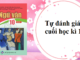 tu-danh-gia-cuoi-hoc-ki-1-ngu-van-10-canh-dieu