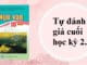tu-danh-gia-cuoi-hoc-ky-2-ngu-van-10-canh-dieu