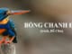 van-ban-bong-chanh-do-trich-do-chu-ngu-van-8-tap-2-chan-troi-sang-tao