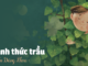 van-ban-danh-thuc-trau