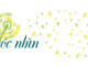 van-ban-goc-nhin