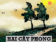 phan-tich-doan-jtrichs-hai-cay-phong