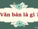 van-ban-la-gi.png